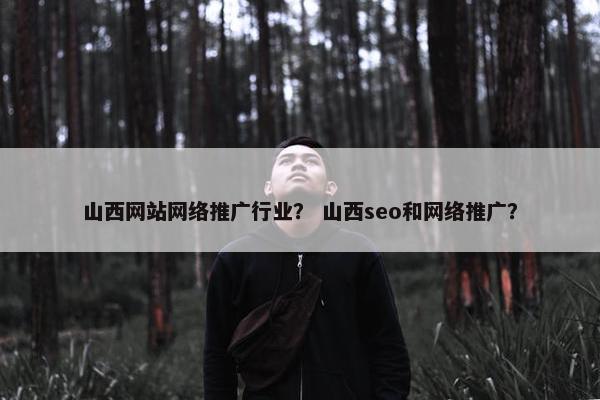 山西网站网络推广行业？ 山西seo和网络推广？