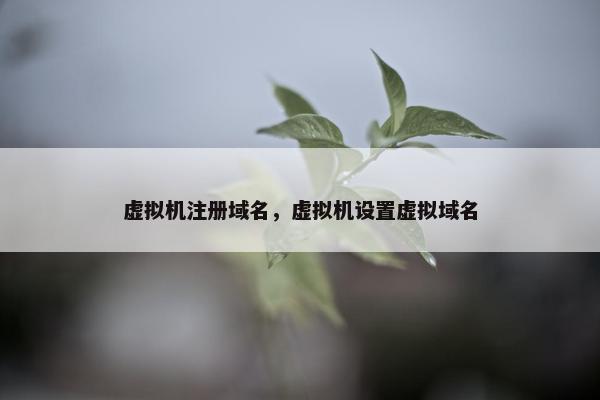 虚拟机注册域名，虚拟机设置虚拟域名