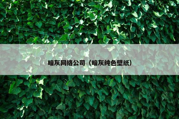 暗灰网络公司（暗灰纯色壁纸）