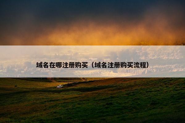 域名在哪注册购买（域名注册购买流程）