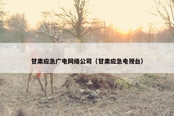 甘肃应急广电网络公司（甘肃应急电视台）