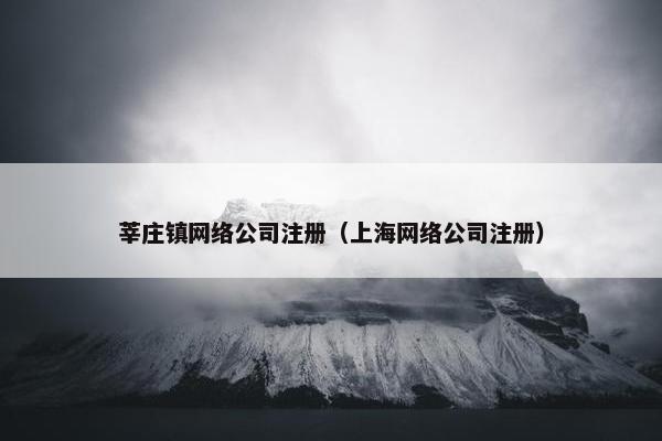 莘庄镇网络公司注册（上海网络公司注册）