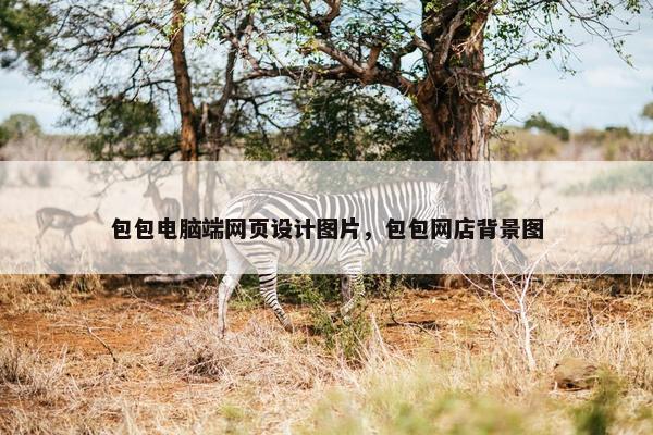 包包电脑端网页设计图片，包包网店背景图