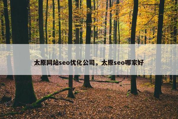 太原网站seo优化公司，太原seo哪家好