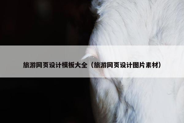 旅游网页设计模板大全（旅游网页设计图片素材）
