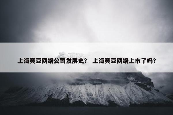 上海黄豆网络公司发展史？ 上海黄豆网络上市了吗？