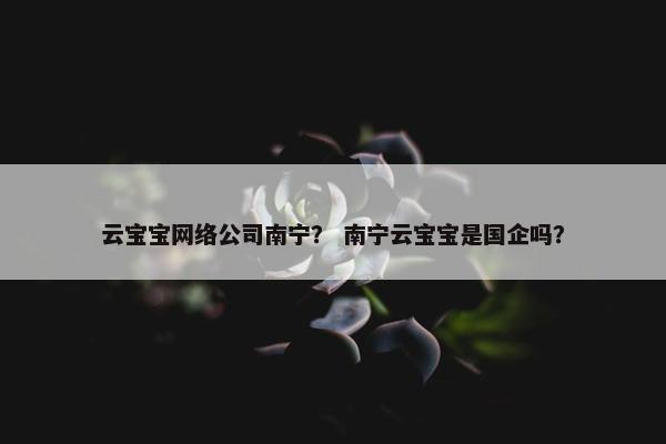 云宝宝网络公司南宁？ 南宁云宝宝是国企吗？