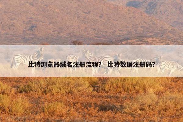 比特浏览器域名注册流程？ 比特数据注册码？