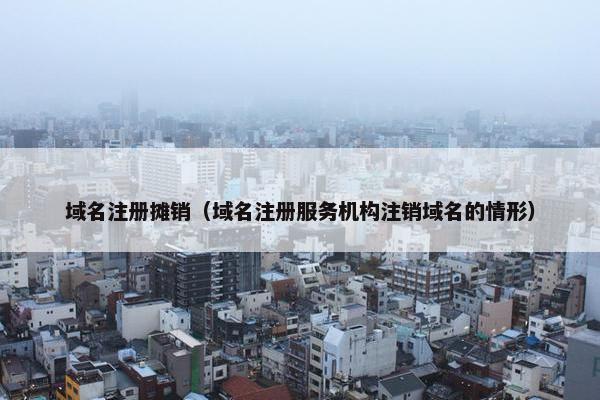 域名注册摊销（域名注册服务机构注销域名的情形）