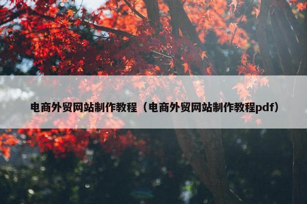 电商外贸网站制作教程（电商外贸网站制作教程pdf）
