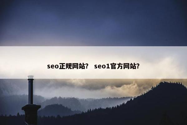seo正规网站？ seo1官方网站？