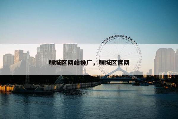 鲤城区网站推广，鲤城区官网