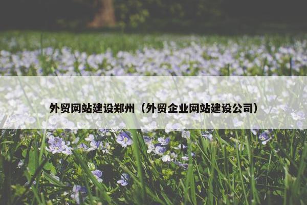 外贸网站建设郑州（外贸企业网站建设公司）