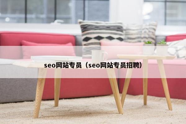 seo网站专员（seo网站专员招聘）