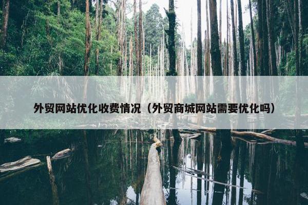 外贸网站优化收费情况（外贸商城网站需要优化吗）