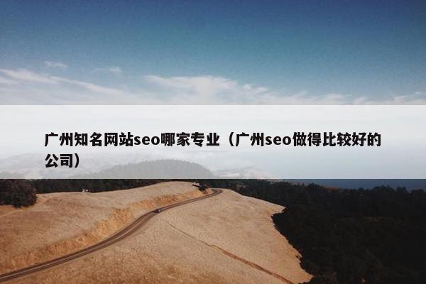 广州知名网站seo哪家专业（广州seo做得比较好的公司）