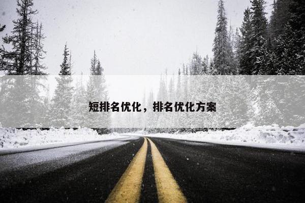 短排名优化，排名优化方案
