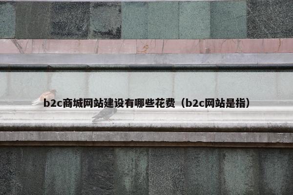 b2c商城网站建设有哪些花费（b2c网站是指）