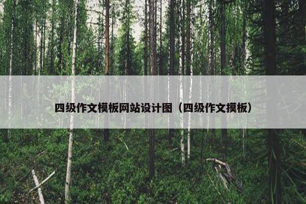 四级作文模板网站设计图（四级作文摸板）
