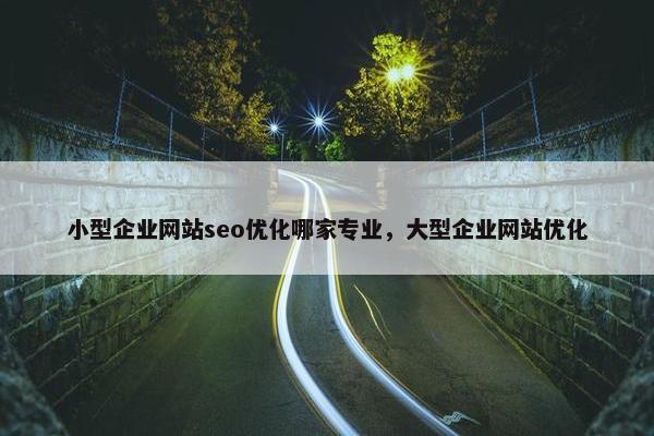 小型企业网站seo优化哪家专业，大型企业网站优化