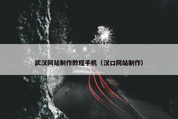 武汉网站制作教程手机（汉口网站制作）