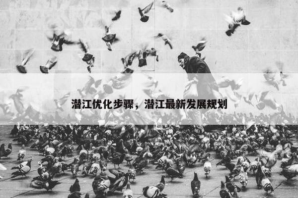 潜江优化步骤，潜江最新发展规划