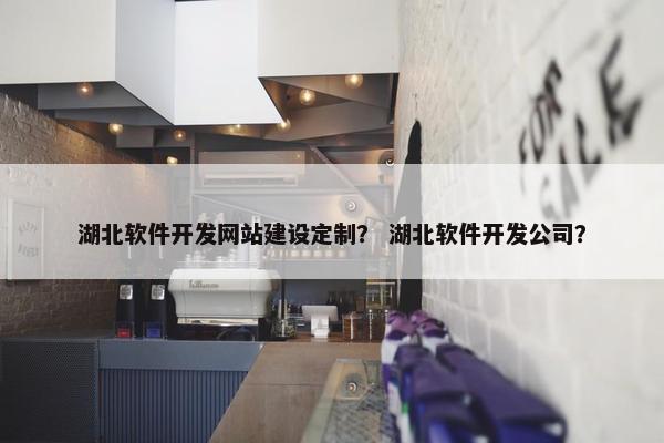 湖北软件开发网站建设定制？ 湖北软件开发公司？