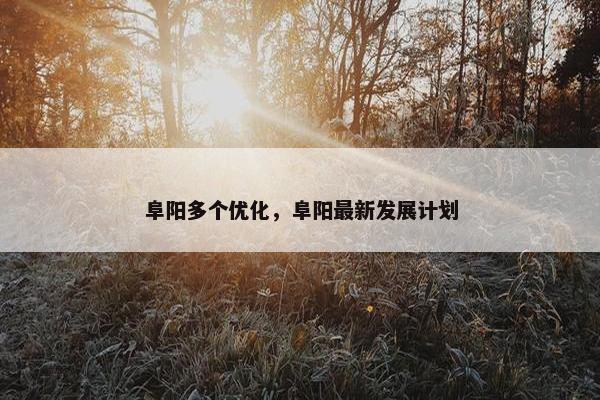阜阳多个优化，阜阳最新发展计划