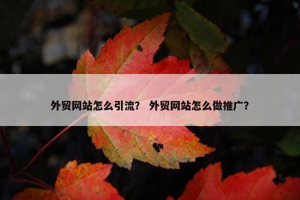外贸网站怎么引流？ 外贸网站怎么做推广？