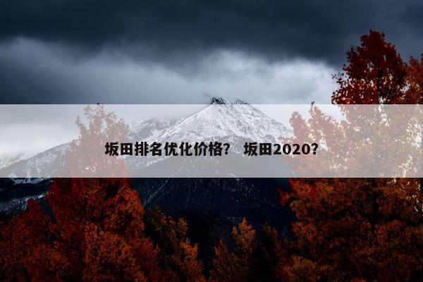 坂田排名优化价格？ 坂田2020？
