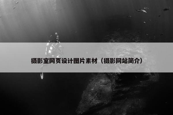 摄影室网页设计图片素材（摄影网站简介）