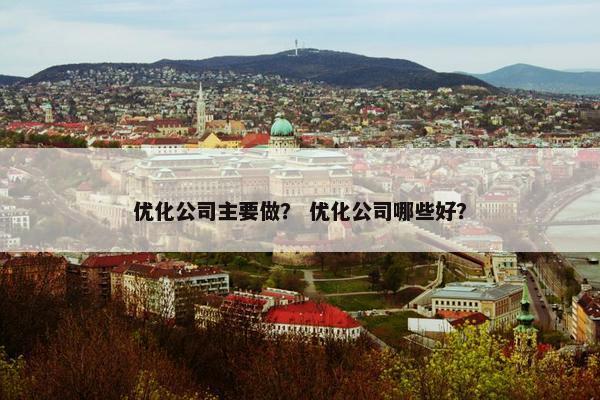 优化公司主要做？ 优化公司哪些好？