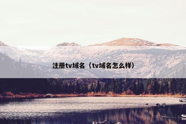 注册tv域名（tv域名怎么样）