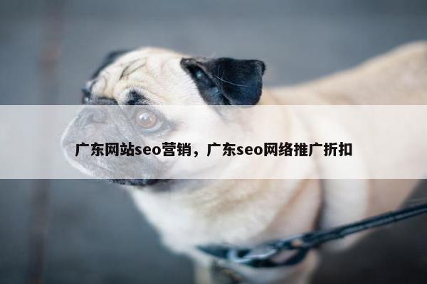广东网站seo营销，广东seo网络推广折扣