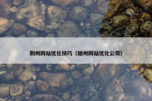 荆州网站优化技巧（随州网站优化公司）
