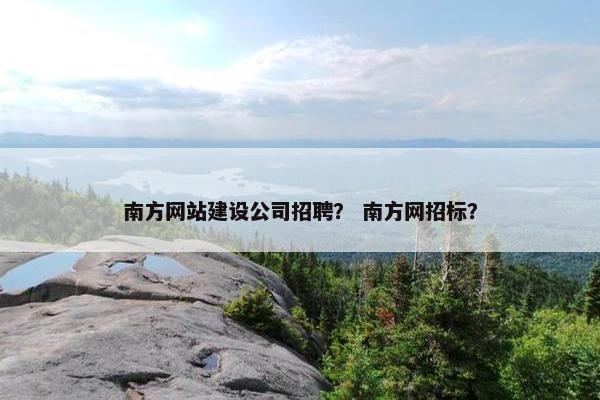 南方网站建设公司招聘？ 南方网招标？