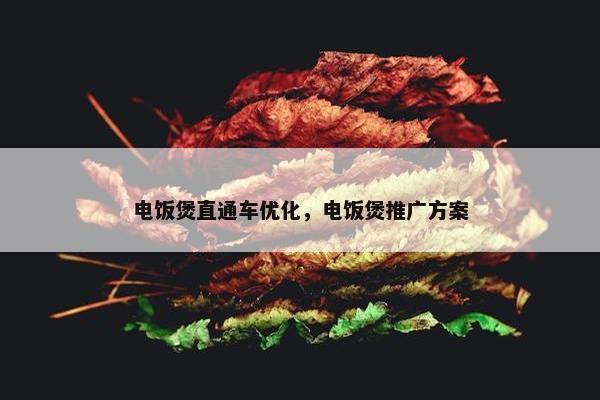 电饭煲直通车优化，电饭煲推广方案