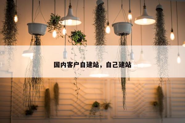 国内客户自建站，自己建站
