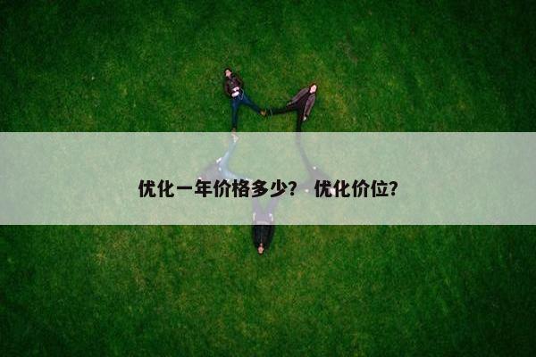 优化一年价格多少？ 优化价位？