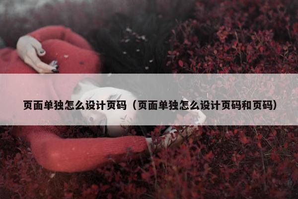 页面单独怎么设计页码（页面单独怎么设计页码和页码）
