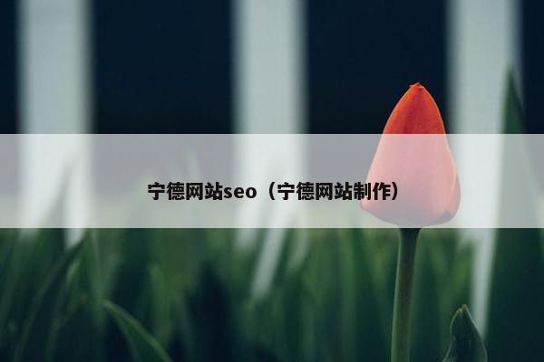 宁德网站seo（宁德网站制作）