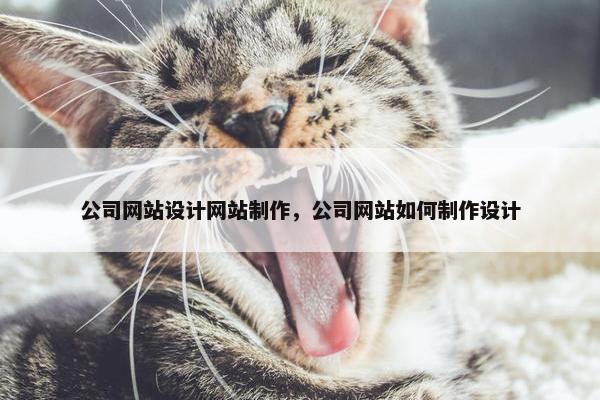 公司网站设计网站制作，公司网站如何制作设计
