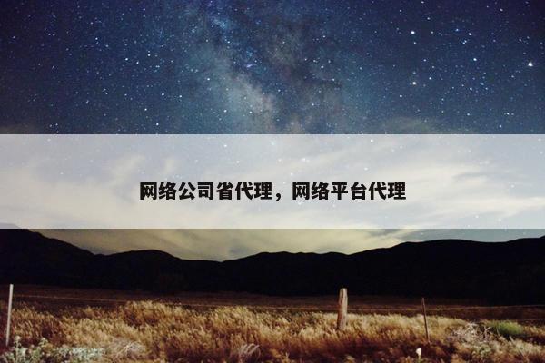 网络公司省代理，网络平台代理