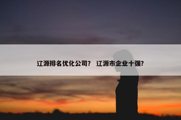 辽源排名优化公司？ 辽源市企业十强？