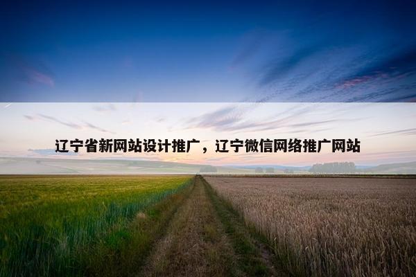 辽宁省新网站设计推广，辽宁微信网络推广网站
