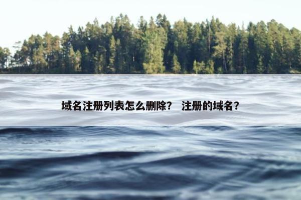 域名注册列表怎么删除？ 注册的域名？