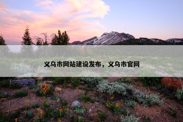 义乌市网站建设发布，义乌市官网