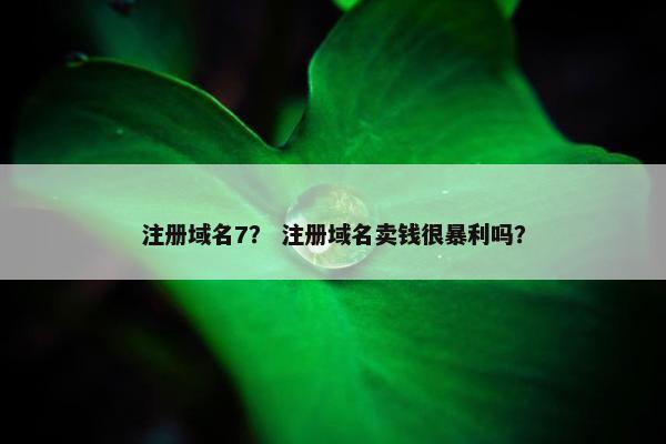 注册域名7？ 注册域名卖钱很暴利吗？