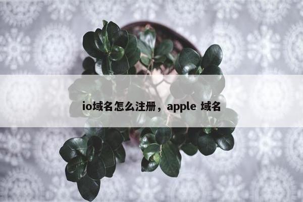 io域名怎么注册，apple 域名