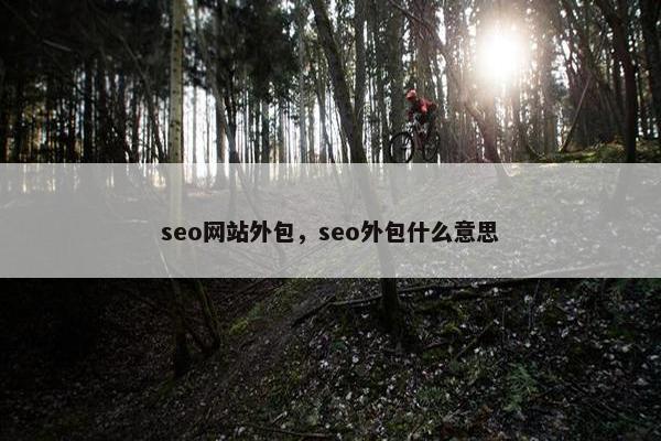 seo网站外包，seo外包什么意思